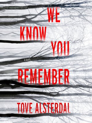 cover image of We Know You Remember